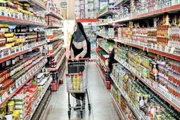 فائو: گرانی مواد غذایی در دنیا تا چند فصل آینده ادامه دارد