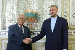 امیرعبداللهیان: تهران – هاوانا باید از تجربیات یکدیگر در حوزه بی اثر کردن تحریم‌ها بهره گیرند