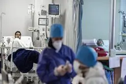 آیا «آبله میمون» جایگزین کرونا می شود/تکرار یک ماجرای ویروسی