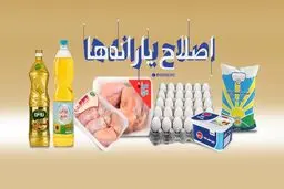 کاهش فاصله طبقاتی با مردمی‌سازی یارانه‌ها/ حذف واسطه‌ها از زنجیره کالای اساسی