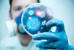 آینده‌ همه‌گیری کرونا چه خواهد شد؟