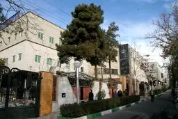 از کاهش عوارض داروهای سرطان تا چاپ اندام زنده انسان