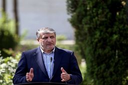 محمد اسلامی: تیم مذاکره کننده تمامی خطوط قرمز را رعایت کرده است
