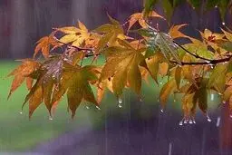 باد و باران در غالب نقاط کشور/ کاهش دما در نیمه‌شمالی