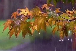 هواشناسی ایران ۱۴۰۱/۰۷/۱۱؛ آخر هفته بارانی در شمال کشور و هشدار به کشاورزان