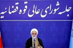محاکمه مرتکبین جنایت در حوادث اخیر طبق قانون انجام می شود