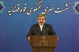 اطلاعات ذی‌قیمتی از متهمین پرونده جاسوسان فرانسوی به دست آمده است