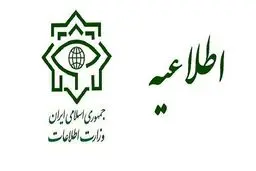 ۲۶ تروریست تکفیری مرتبط با فاجعه تروریستی حرم شاهچراغ دستگیر شده‌اند