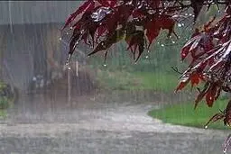 هواشناسی ایران ۱۴۰۱/۰۸/۲۱؛ بارش بارن و برف ۵ روزه در ۲۱ استان/هشدار تشدید فعالیت سامانه بارشی در ۵ استان