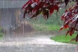 هواشناسی ایران ۱۴۰۱/۰۸/۲۱؛ بارش بارن و برف ۵ روزه در ۲۱ استان/هشدار تشدید فعالیت سامانه بارشی در ۵ استان