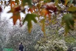 هواشناسی ایران ۱۴۰۱/۰۹/۰۱؛ سامانه بارشی جمعه وارد کشور می‌شود/ آغاز بارش باران و برف در غرب و شمال غرب