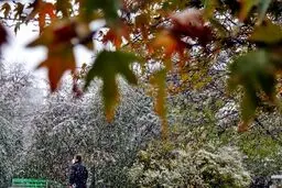 هواشناسی ایران ۱۴۰۱/۰۹/۰۱؛ سامانه بارشی جمعه وارد کشور می‌شود/ آغاز بارش باران و برف در غرب و شمال غرب