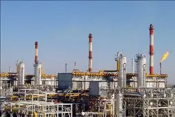 ۵ برابر دنیا گاز مصرف می‌کنیم/ از امروز باید برای زمستان بعدی تدبیر کرد