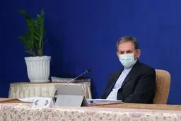 ارز ۴۲۰۰ تومانی موفق بود/ ناهماهنگی میان دستگاه‌ها باعث گرانی مرغ شده است