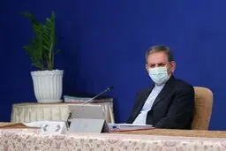 ارز ۴۲۰۰ تومانی موفق بود/ ناهماهنگی میان دستگاه‌ها باعث گرانی مرغ شده است