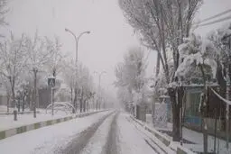 تعیین مناطق معین برای کمک به مناطق پر بارش تهران/ رصد میدانی برای اخذ تصمیمات لازم