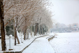 هواشناسی ایران ۱۴۰۱/۱۱/۱۸؛ بارش ۵ روزه برف و باران در کشور/ کاهش ۱۰ درجه ای دما در برخی مناطق