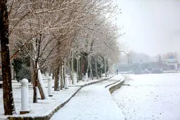 هواشناسی ایران ۱۴۰۱/۱۱/۱۸؛ بارش ۵ روزه برف و باران در کشور/ کاهش ۱۰ درجه ای دما در برخی مناطق