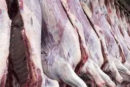 جدیدترین قیمت گوشت قرمز/ عرضه گوشت لخم با بسته‌بندی خاص ممنوع شد