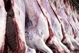 جدیدترین قیمت گوشت قرمز/ عرضه گوشت لخم با بسته‌بندی خاص ممنوع شد