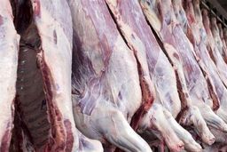 جدیدترین قیمت گوشت قرمز/ عرضه گوشت لخم با بسته‌بندی خاص ممنوع شد