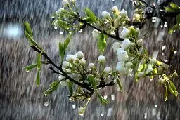 هواشناسی ایران ۱۴۰۲/۰۱/۳۰؛ سامانه بارشی جمعه وارد کشور می‌شود/ پیش‌بینی بارش‌های شدید برای غرب کشور