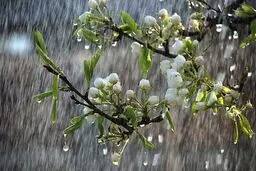 هواشناسی ایران ۱۴۰۲/۰۱/۳۰؛ سامانه بارشی جمعه وارد کشور می‌شود/ پیش‌بینی بارش‌های شدید برای غرب کشور