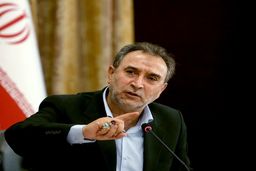 سوءاستفاده برخی کشورها از سانحه هواپیمای اوکراینی/غرامت به برخی بازماندگان پرداخت شد