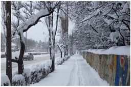 هواشناسی ایران ۸ دی ۱۴۰۳: ۲۰ استان سفیدپوش شدند/ سفر غیرضروری ممنوع