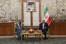 دیدار وزیر خارجه عمان با رئیس مجلس شورای اسلامی