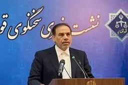 توضیحات سخنگوی قوه قضائیه درباره حکم فرزندان معاون اول سابق قوه قضائیه و بابک زنجانی