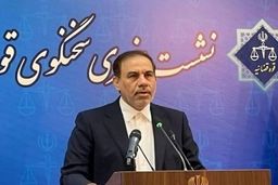 توضیحات سخنگوی قوه قضائیه درباره حکم فرزندان معاون اول سابق قوه قضائیه و بابک زنجانی