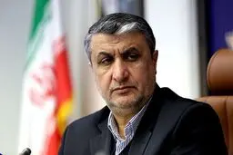 اسلامی: ایران تعهداتش را انجام داده ولی نمی‌خواهند از مزایای برجام در سال دهم بهره‌مند شود