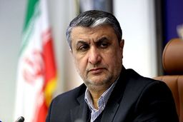 اسلامی: ایران تعهداتش را انجام داده ولی نمی‌خواهند از مزایای برجام در سال دهم بهره‌مند شود