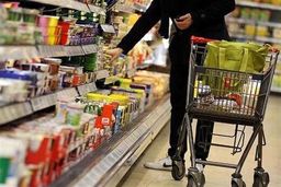 عدد سبد معیشتی امسال نباید کمتر از ۲۶ میلیون تومان باشد