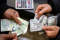 پیش‌بینی یک مدیرسازمان برنامه‌:  قیمت دلار تا پایان سال حداکثر ۵۲ هزار تومان