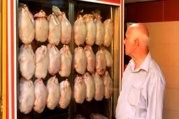 دلایل کمبود و گرانی گوشت مرغ در کشور