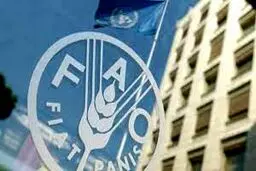 فائو: ایران جایگاه هشتم دنیا را در ذخایر غلات دارد