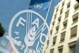 فائو: ایران جایگاه هشتم دنیا را در ذخایر غلات دارد