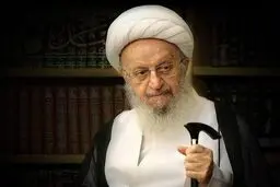 آیت الله مکارم شیرازی: مسئولان نتوانسته و یا نخواسته اند که مشکلات اقتصادی را برطرف کنند