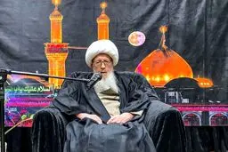 آیت الله وحید خراسانی:‌ عزاداری‌های محرم هرچه باشکوه‌تر برگزار شود