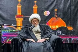 آیت الله وحید خراسانی:‌ عزاداری‌های محرم هرچه باشکوه‌تر برگزار شود
