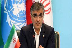 گرانی مرغ «فرزین» را راهی مجلس کرد/ دلار ۲۸۵۰۰ تومانی باعث گرانی کالاهای اساسی شد؟