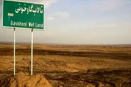 ۹۹ درصد سطح تالاب گاوخونی خشک است