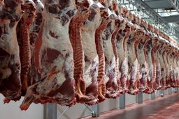 آرامش در بازار گوشت/ تنظیم بازار با واردات
