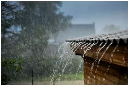 هواشناسی ایران ۱۴۰۲/۰۵/۳۱؛ هشدار هواشناسی برای سواحل جنوبی/ بارش ۴ روزه باران در برخی مناطق کشور