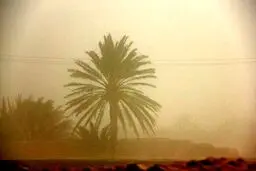 هشدار طوفان گردوخاک یا شن برای ۳ استان طی امروز و فردا
