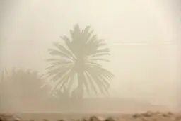 هشدار طوفان گردوخاک یا شن برای ۳ استان طی امروز و فردا