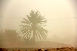 هشدار طوفان گردوخاک یا شن برای ۳ استان طی امروز و فردا