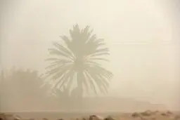 هشدار طوفان گردوخاک یا شن برای ۳ استان طی امروز و فردا